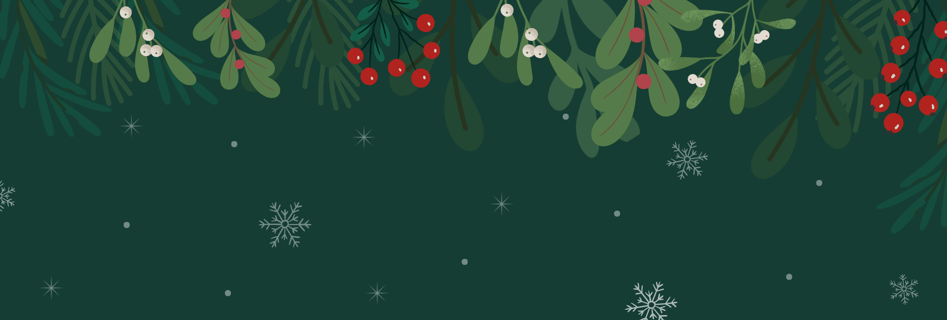 Felices fiestas y feliz año nuevo!